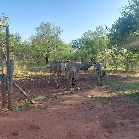 Call Of The Wild Lodge Hoedspruit Exterior foto